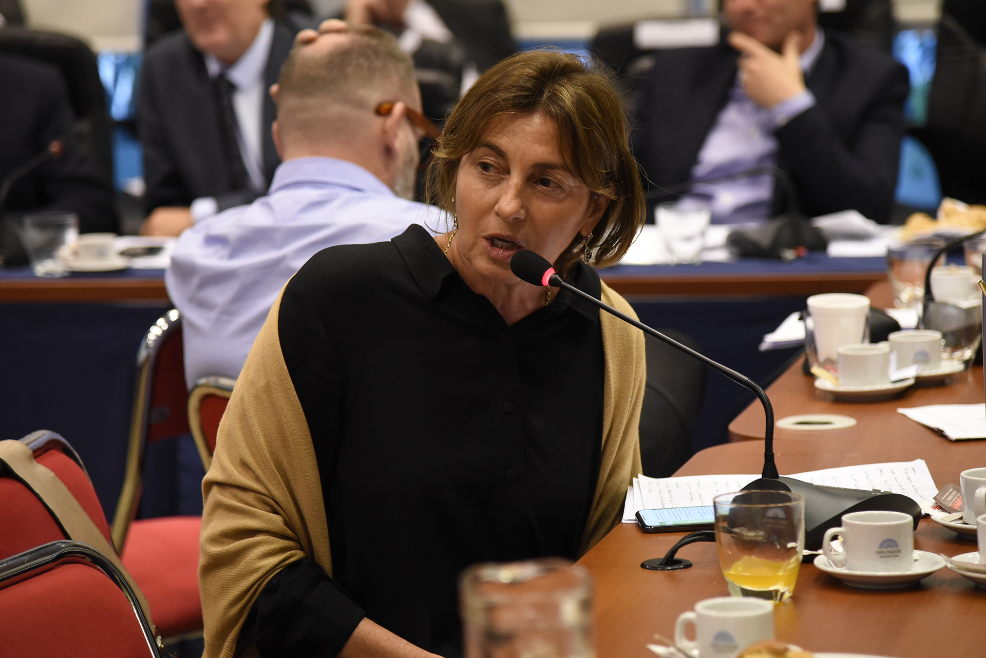 Galeria de imagenes de la noticia NUEVA LEY DE SEMILLAS: AVANZA EN PLENARIO Y PODRÍA TRATARSE EN LA PRÓXIMA SESIÓN